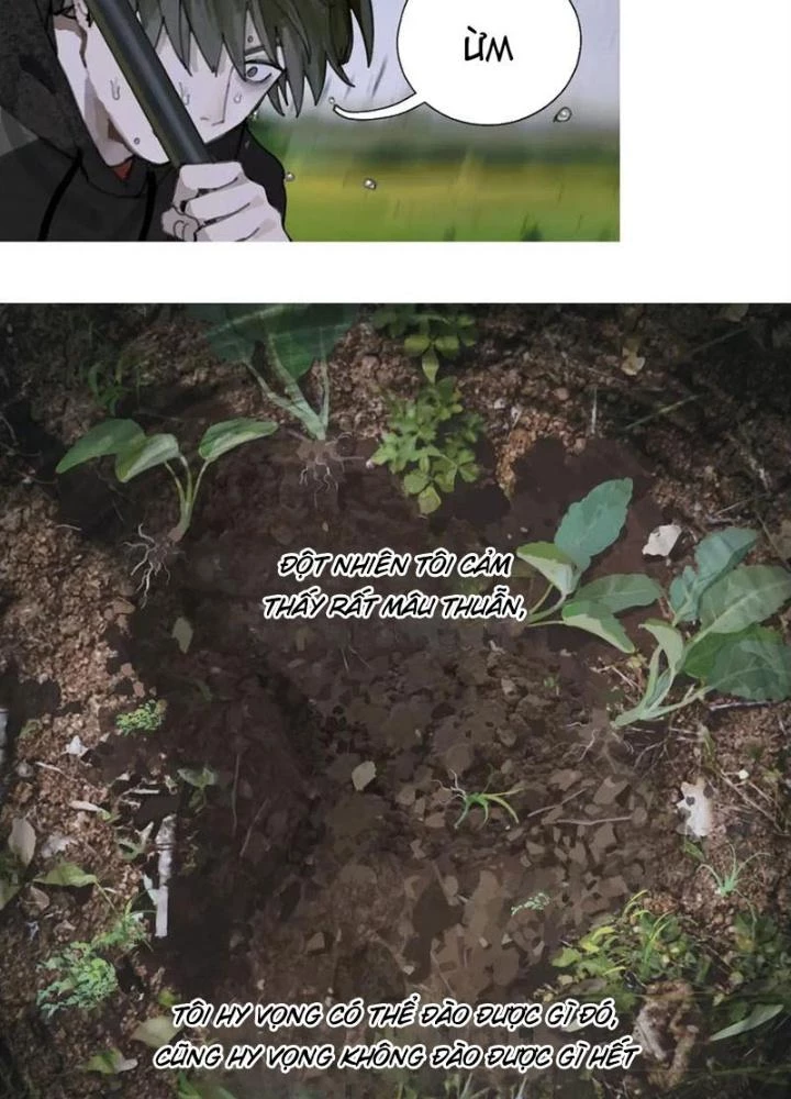 Tơ Nhện Chapter 31 - Trang 2