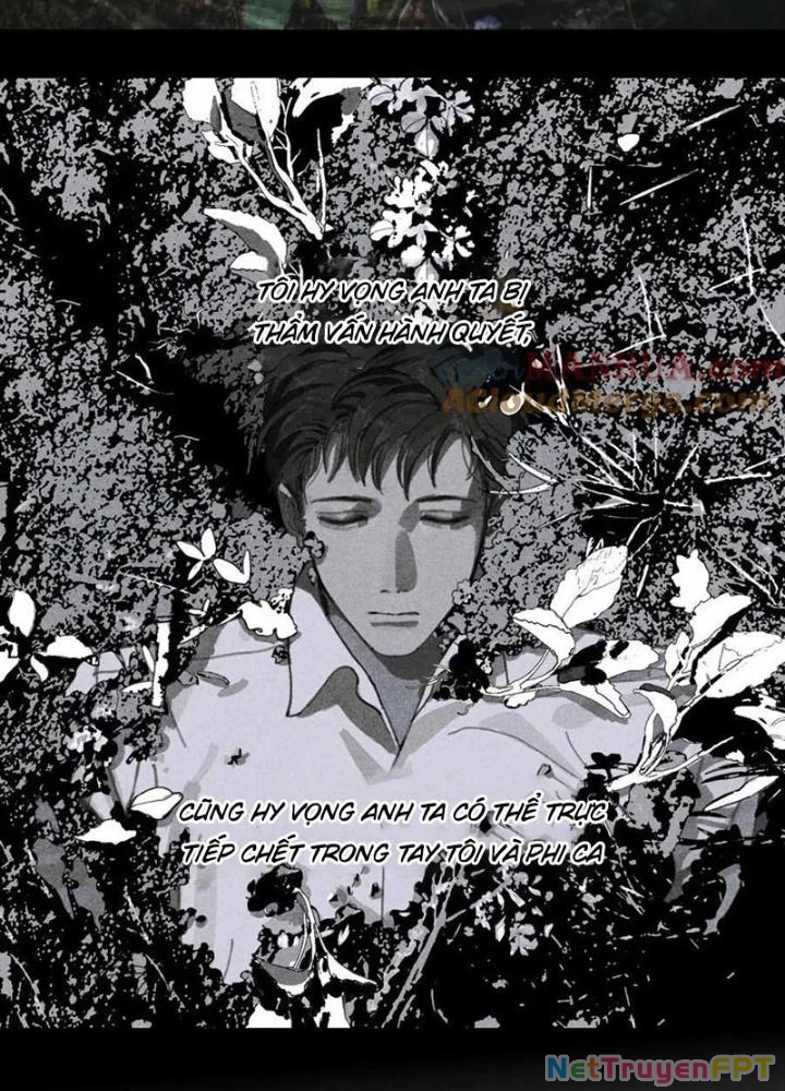 Tơ Nhện Chapter 31 - Trang 2