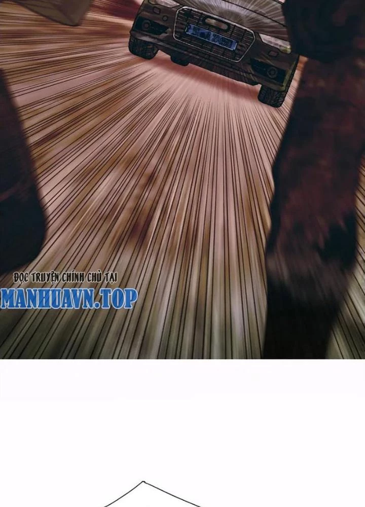 Tơ Nhện Chapter 31 - Trang 2