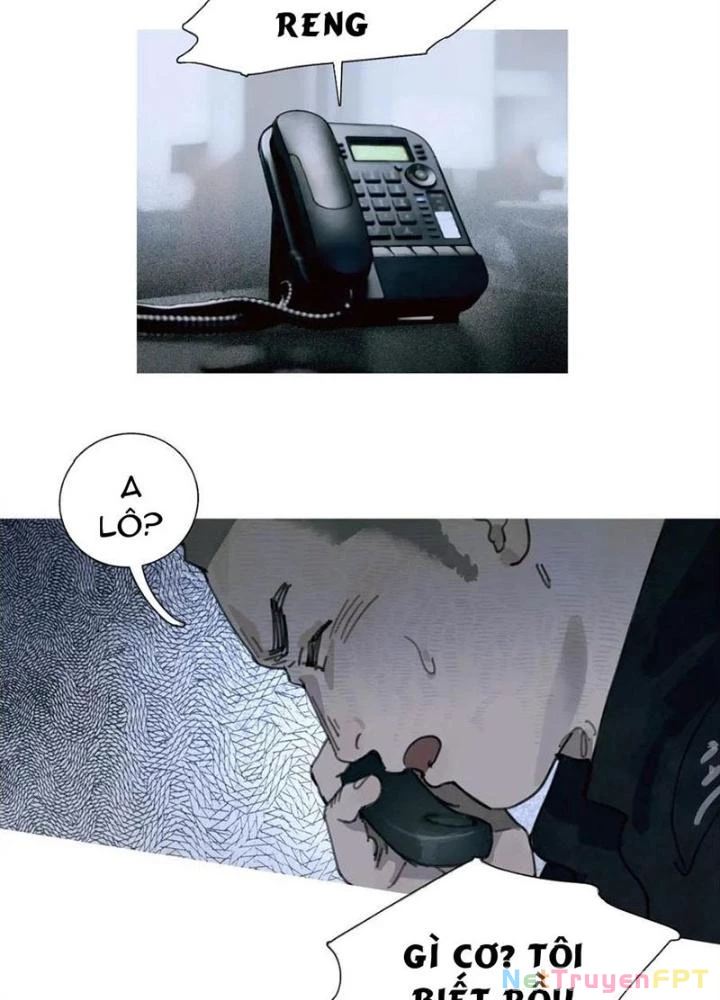 Tơ Nhện Chapter 31 - Trang 2