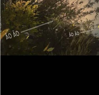 Tơ Nhện Chapter 4 - Trang 2