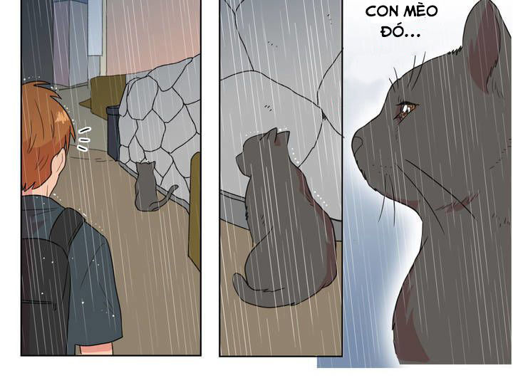 Tỏ Tình Nhầm Lẫn Chapter 5 - Trang 2