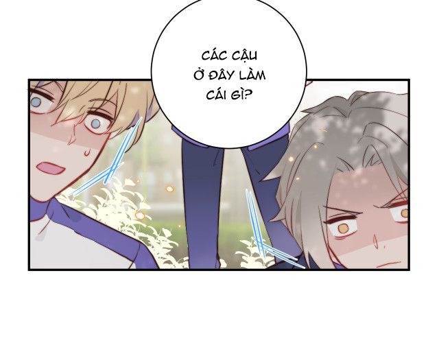 Tỏ Tình Vô Hiệu Chapter 1 - Trang 2