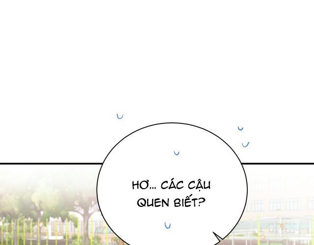 Tỏ Tình Vô Hiệu Chapter 1 - Trang 2