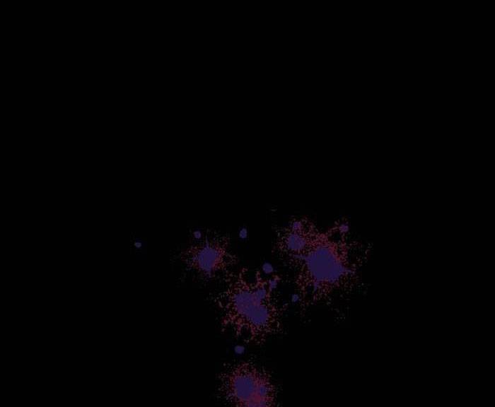 Tỏa Sáng Rực Rỡ Chapter 1.1 - Trang 2