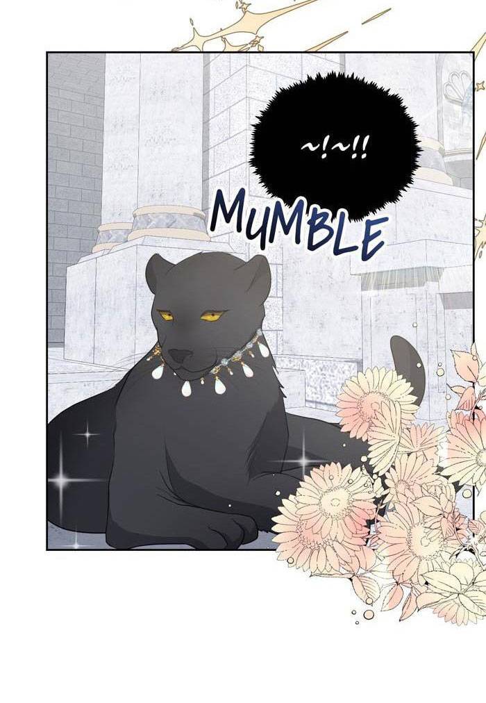 Tỏa Sáng Rực Rỡ Chapter 1.1 - Trang 2