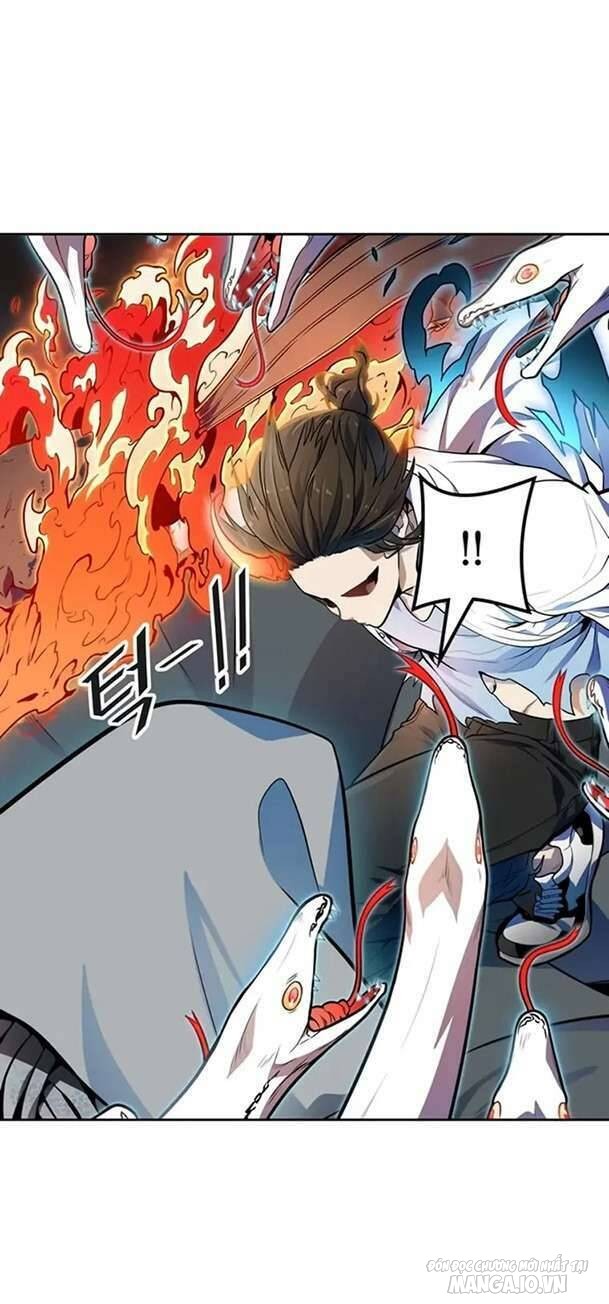 Tòa Tháp Bí Ẩn Chapter 568 - Trang 2