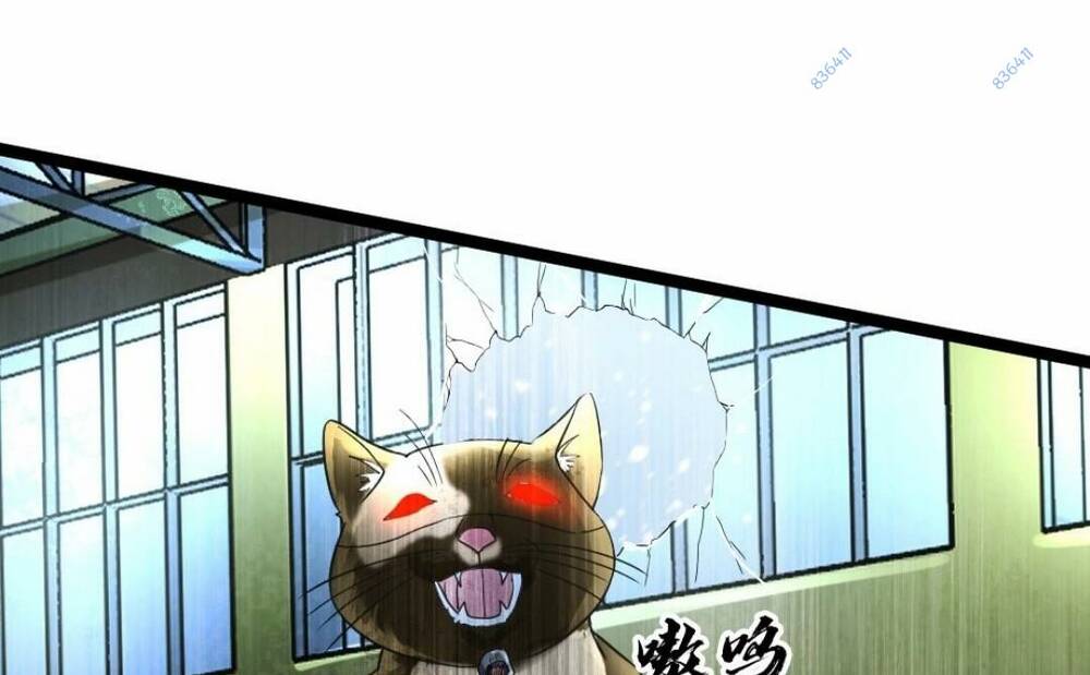 Toàn Cầu Băng Phong Ta Chế Tạo Phòng An Toàn Tại Tận Thế Chapter 147 - Trang 2