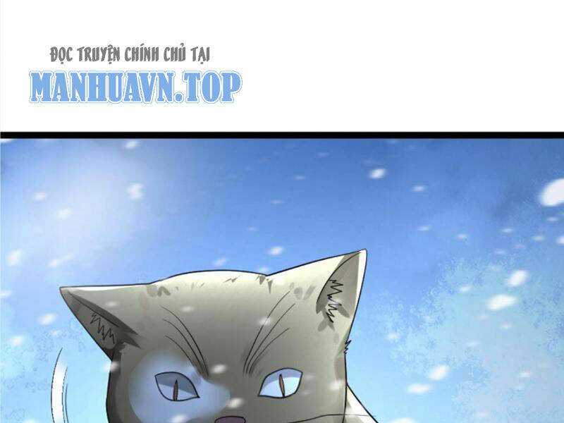 Toàn Cầu Băng Phong Ta Chế Tạo Phòng An Toàn Tại Tận Thế Chapter 242 - Trang 2