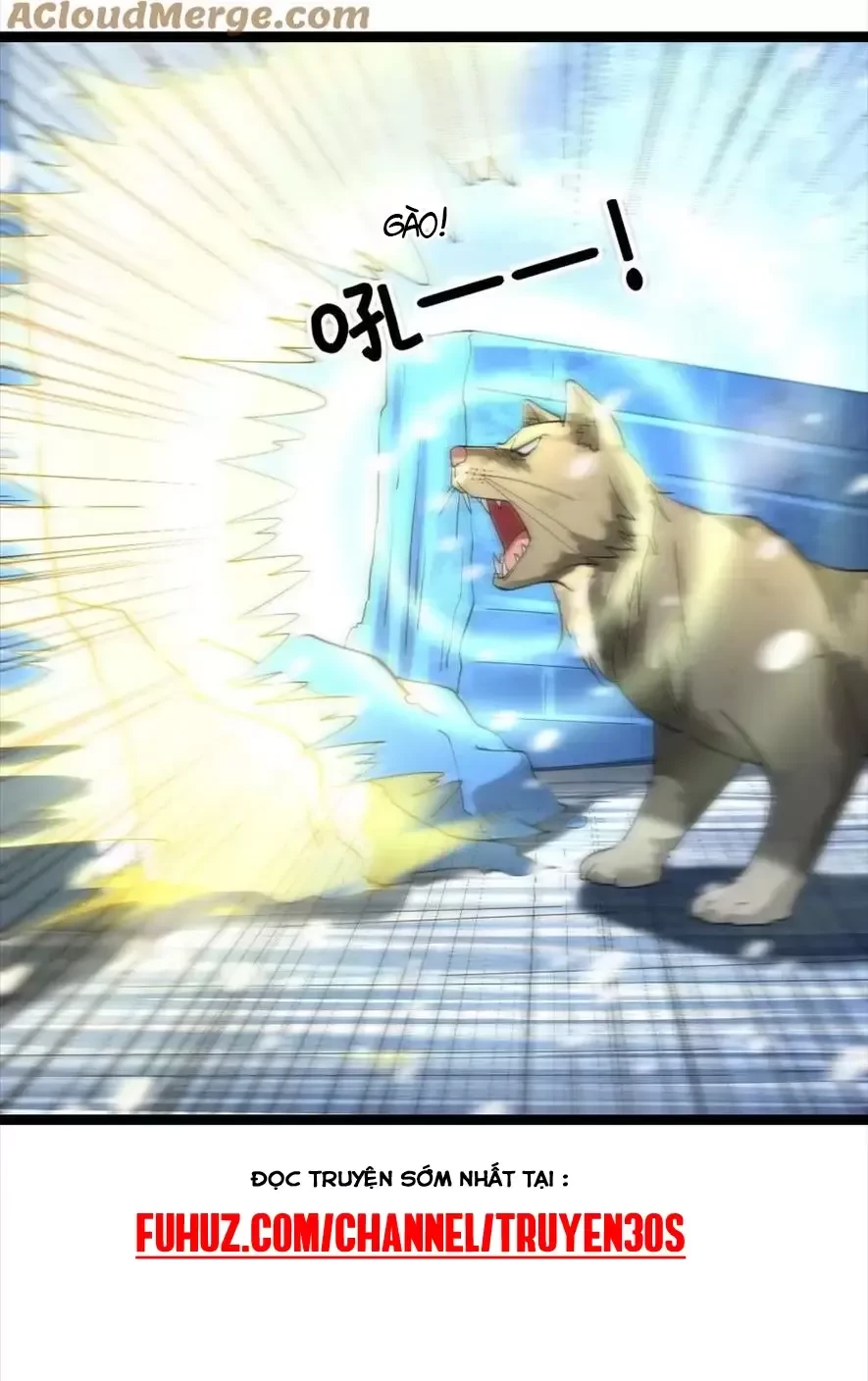 Toàn Cầu Băng Phong Ta Chế Tạo Phòng An Toàn Tại Tận Thế Chapter 330 - Trang 2