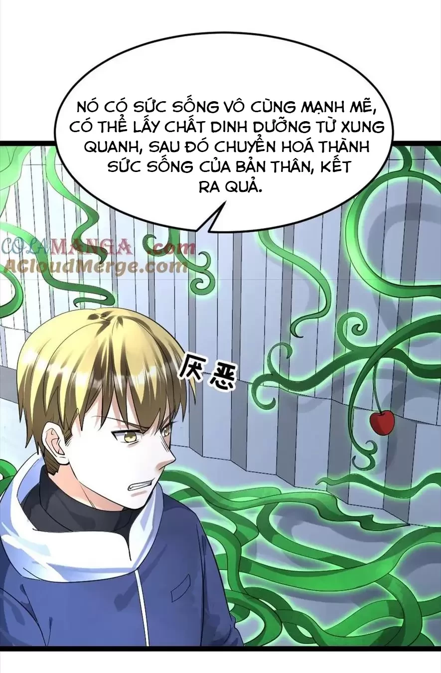 Toàn Cầu Băng Phong Ta Chế Tạo Phòng An Toàn Tại Tận Thế Chapter 395 - Trang 2