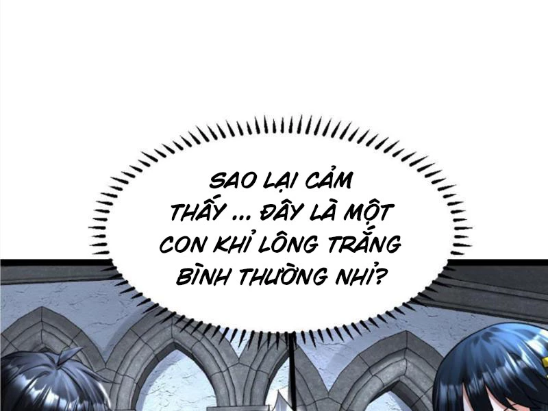 Toàn Cầu Băng Phong Ta Chế Tạo Phòng An Toàn Tại Tận Thế Chapter 398 - Trang 2