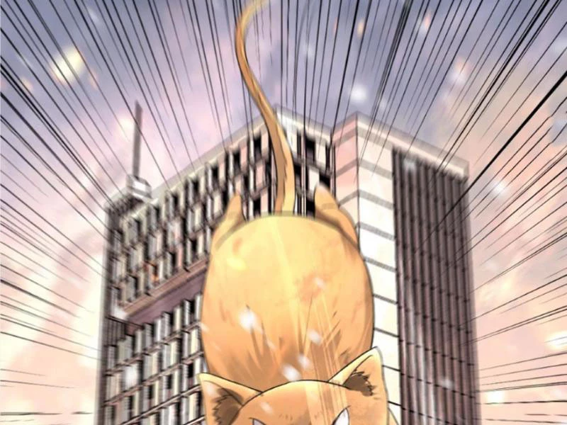 Toàn Cầu Băng Phong Ta Chế Tạo Phòng An Toàn Tại Tận Thế Chapter 411 - Trang 2