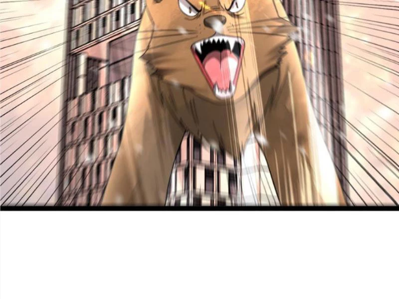 Toàn Cầu Băng Phong Ta Chế Tạo Phòng An Toàn Tại Tận Thế Chapter 411 - Trang 2