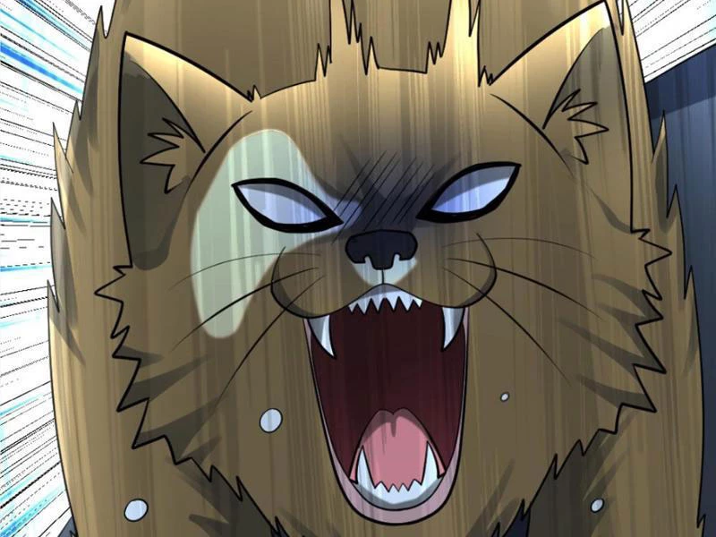 Toàn Cầu Băng Phong Ta Chế Tạo Phòng An Toàn Tại Tận Thế Chapter 426 - Trang 2