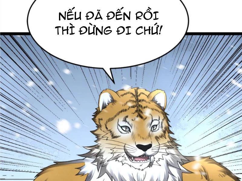 Toàn Cầu Băng Phong Ta Chế Tạo Phòng An Toàn Tại Tận Thế Chapter 531 - Trang 2