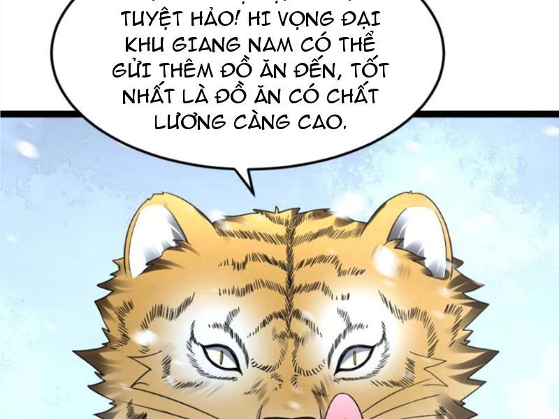 Toàn Cầu Băng Phong Ta Chế Tạo Phòng An Toàn Tại Tận Thế Chapter 531 - Trang 2