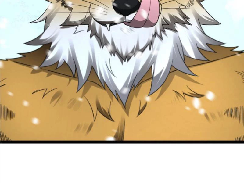 Toàn Cầu Băng Phong Ta Chế Tạo Phòng An Toàn Tại Tận Thế Chapter 531 - Trang 2