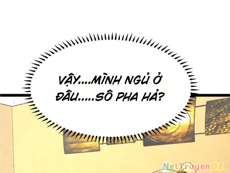 Toàn Cầu Băng Phong Ta Chế Tạo Phòng An Toàn Tại Tận Thế Chapter 542 - Trang 2