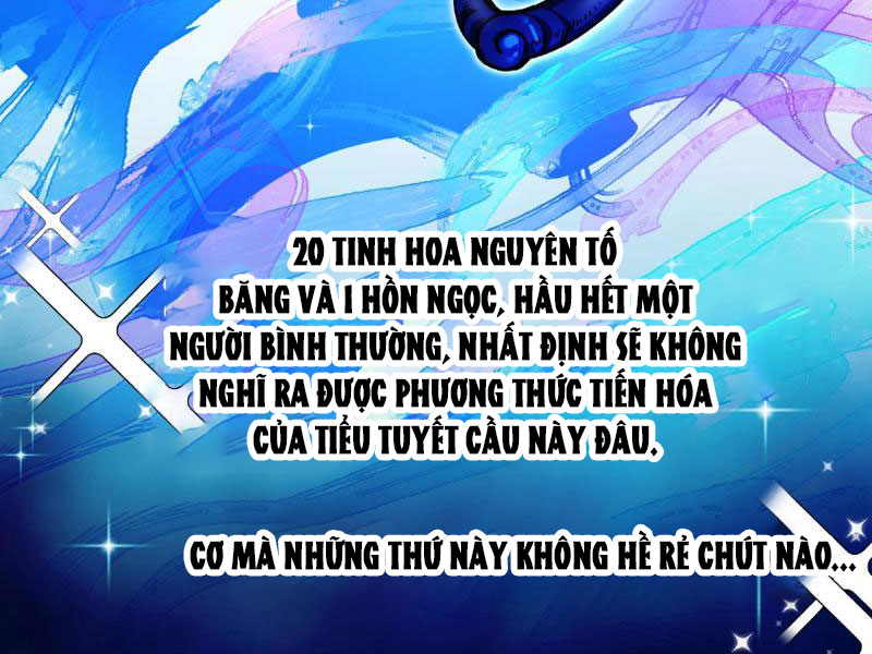 Toàn Cầu Ngự Thú: Ta Có Thể Thấy Lộ Tuyến Tiến Hoá Chapter 1 - Trang 2