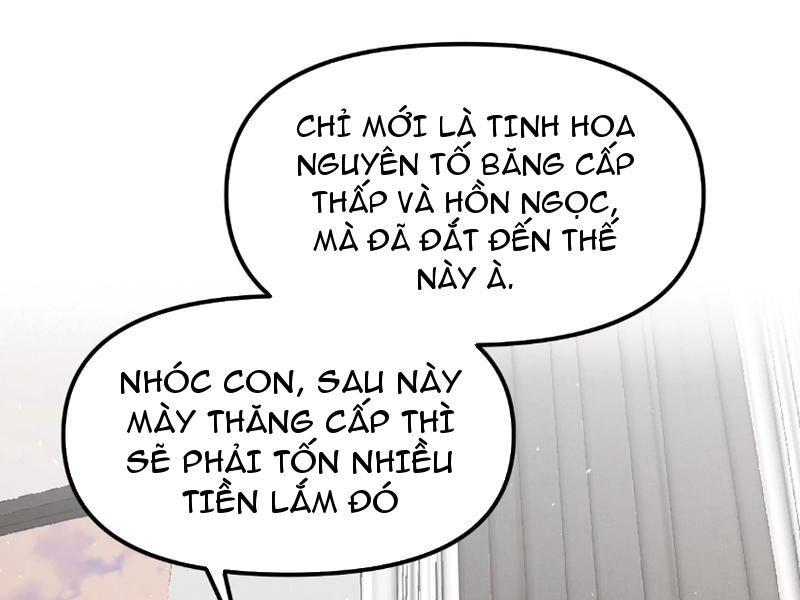 Toàn Cầu Ngự Thú: Ta Có Thể Thấy Lộ Tuyến Tiến Hoá Chapter 1 - Trang 2