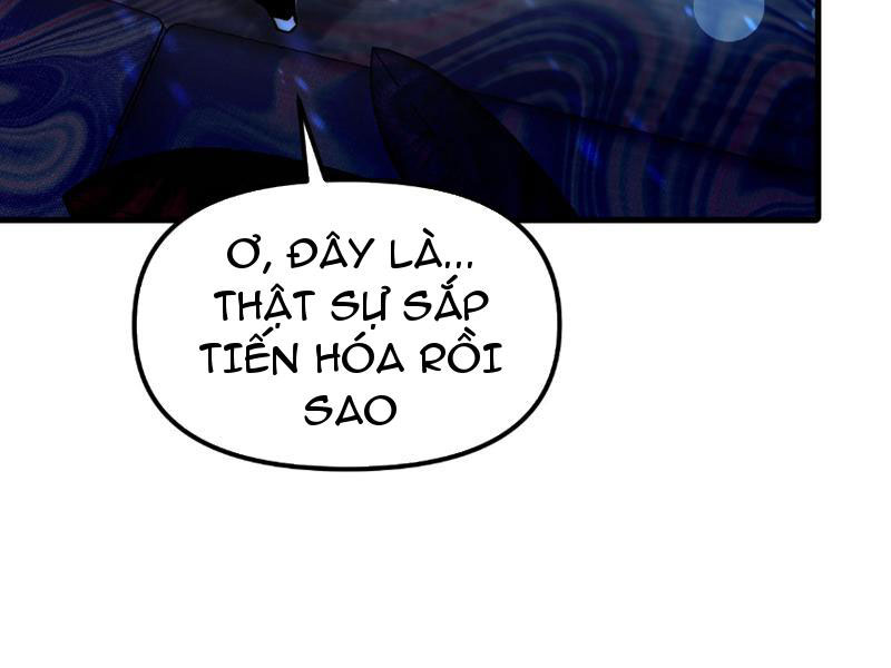 Toàn Cầu Ngự Thú: Ta Có Thể Thấy Lộ Tuyến Tiến Hoá Chapter 1 - Trang 2