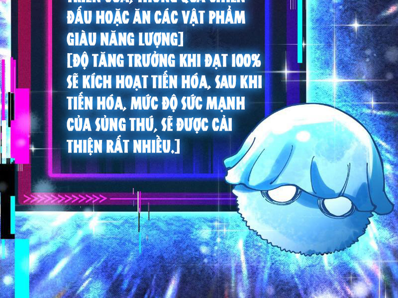 Toàn Cầu Ngự Thú: Ta Có Thể Thấy Lộ Tuyến Tiến Hoá Chapter 1 - Trang 2