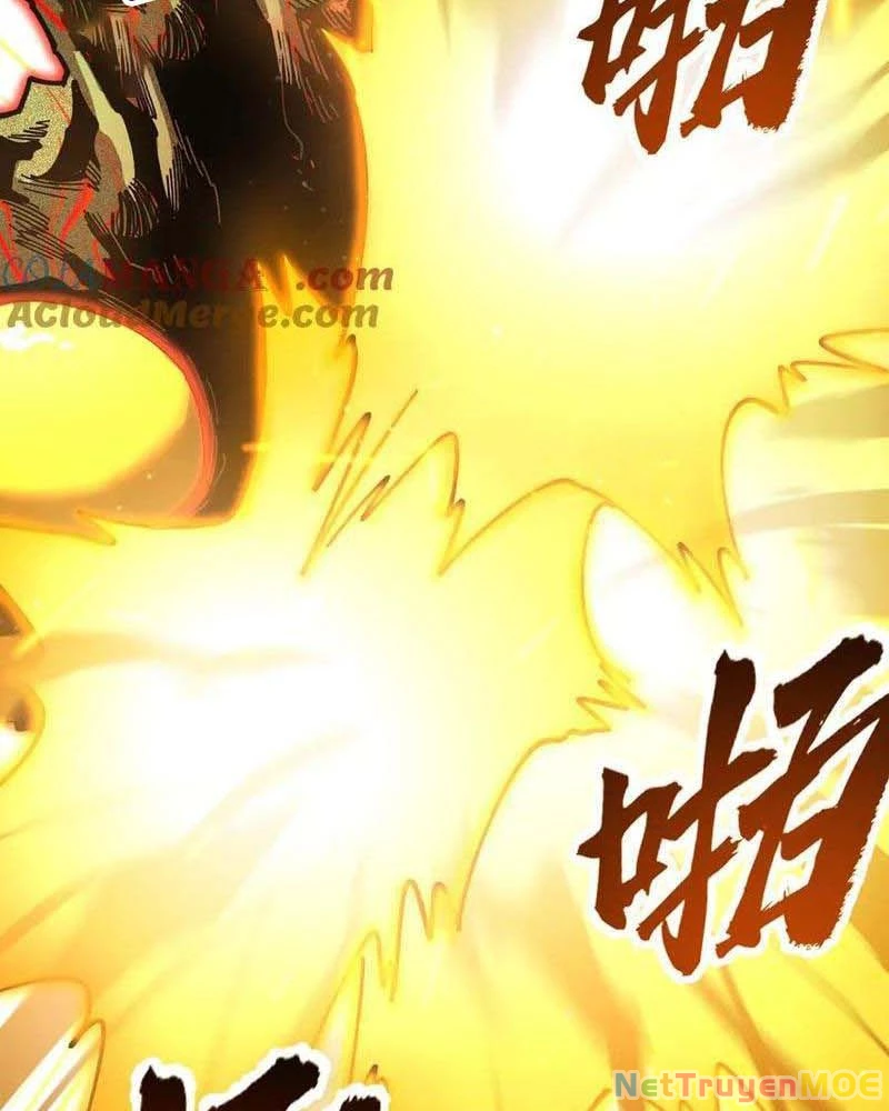 Toàn Cầu Ngự Thú: Ta Có Thể Thấy Lộ Tuyến Tiến Hoá Chapter 12 - Trang 2