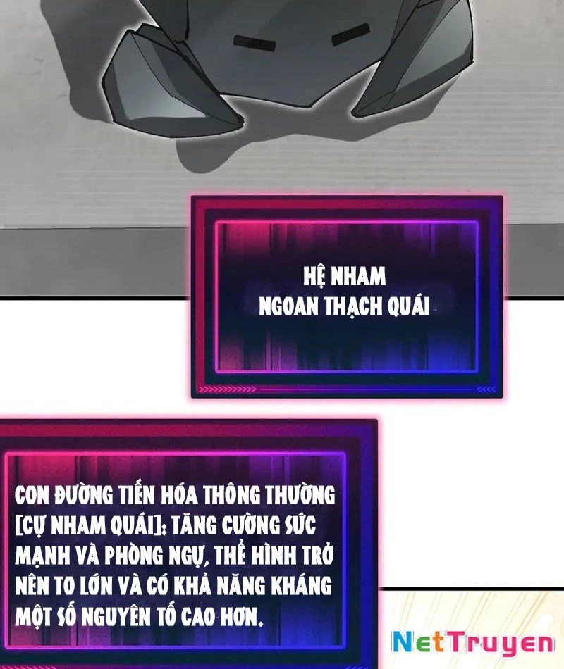 Toàn Cầu Ngự Thú: Ta Có Thể Thấy Lộ Tuyến Tiến Hoá Chapter 14 - Trang 2