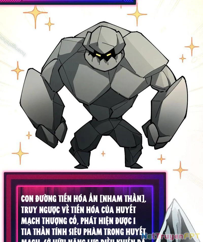 Toàn Cầu Ngự Thú: Ta Có Thể Thấy Lộ Tuyến Tiến Hoá Chapter 14 - Trang 2