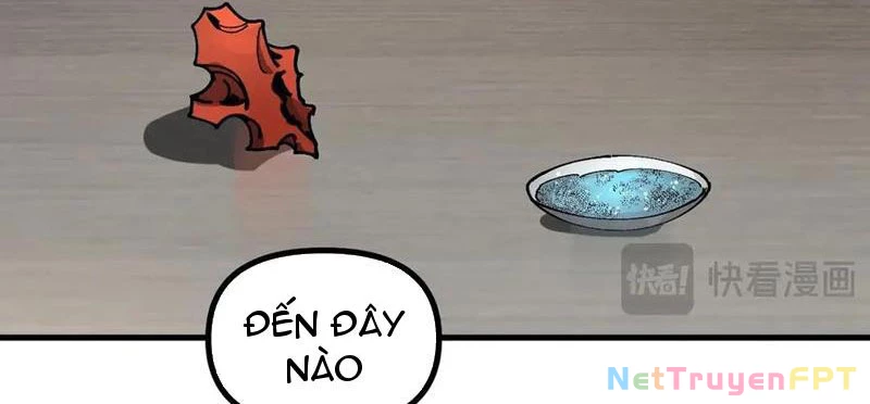 Toàn Cầu Ngự Thú: Ta Có Thể Thấy Lộ Tuyến Tiến Hoá Chapter 14 - Trang 2