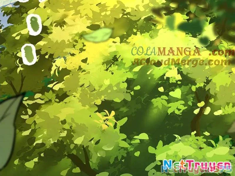 Toàn Cầu Ngự Thú: Ta Có Thể Thấy Lộ Tuyến Tiến Hoá Chapter 19 - Trang 2