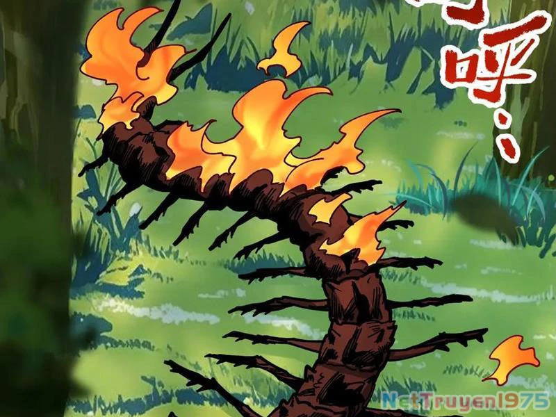 Toàn Cầu Ngự Thú: Ta Có Thể Thấy Lộ Tuyến Tiến Hoá Chapter 19 - Trang 2