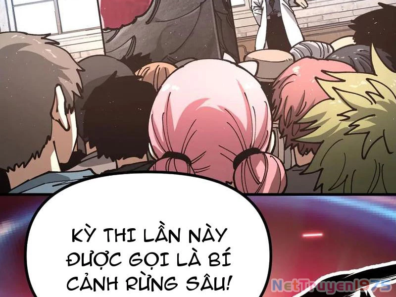 Toàn Cầu Ngự Thú: Ta Có Thể Thấy Lộ Tuyến Tiến Hoá Chapter 19 - Trang 2