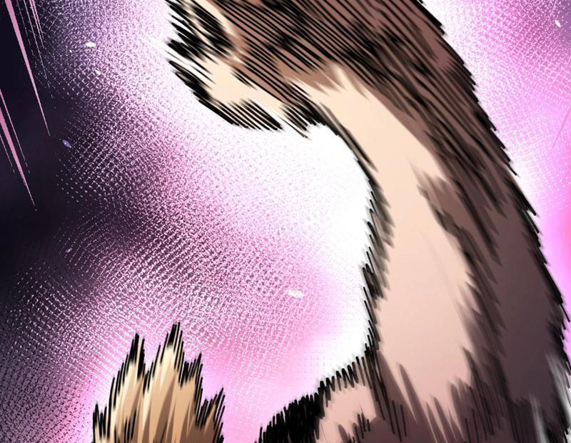 Toàn Cầu Ngự Thú: Ta Có Thể Thấy Lộ Tuyến Tiến Hoá Chapter 2 - Trang 2