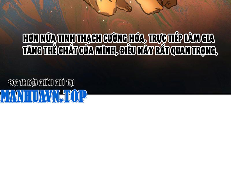 Toàn Cầu Ngự Thú: Ta Có Thể Thấy Lộ Tuyến Tiến Hoá Chapter 2 - Trang 2