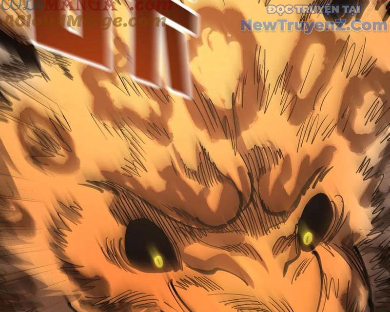 Toàn Cầu Ngự Thú: Ta Có Thể Thấy Lộ Tuyến Tiến Hoá Chapter 21 - Trang 2
