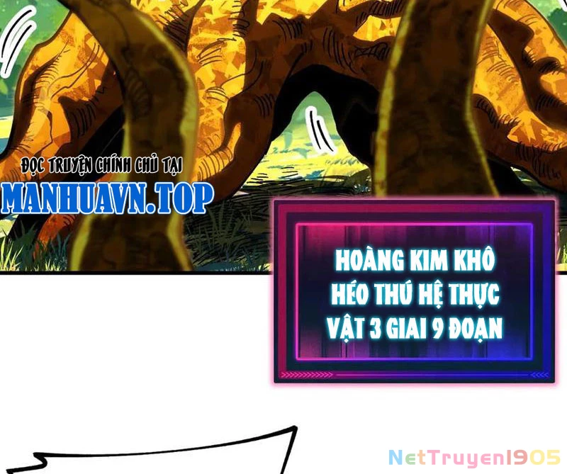 Toàn Cầu Ngự Thú: Ta Có Thể Thấy Lộ Tuyến Tiến Hoá Chapter 22 - Trang 2