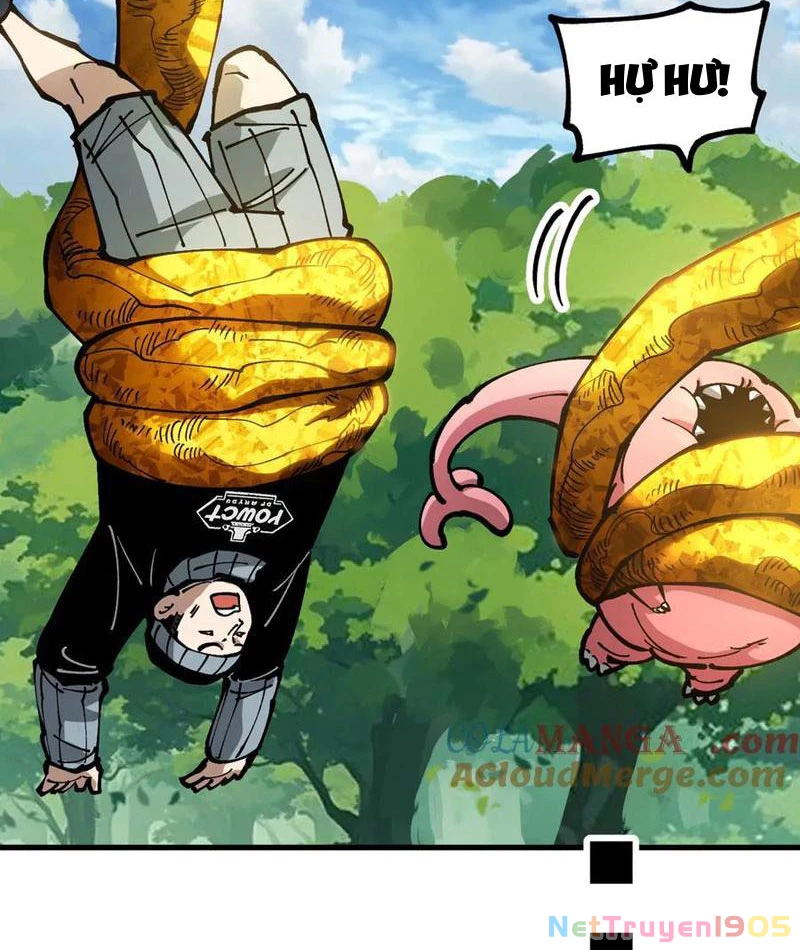 Toàn Cầu Ngự Thú: Ta Có Thể Thấy Lộ Tuyến Tiến Hoá Chapter 22 - Trang 2