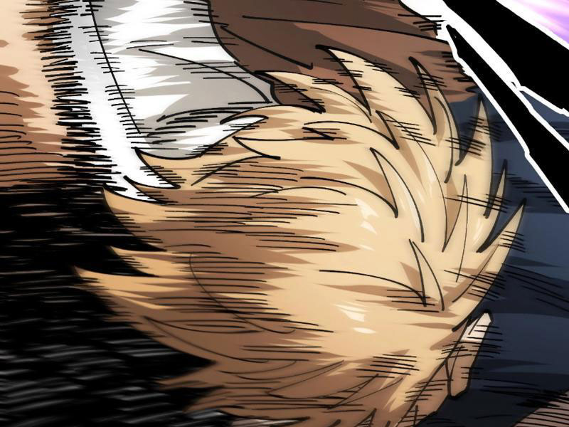 Toàn Cầu Ngự Thú: Ta Có Thể Thấy Lộ Tuyến Tiến Hoá Chapter 3 - Trang 2