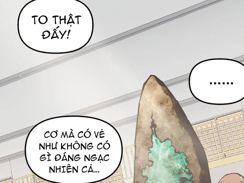 Toàn Cầu Ngự Thú: Ta Có Thể Thấy Lộ Tuyến Tiến Hoá Chapter 3 - Trang 2