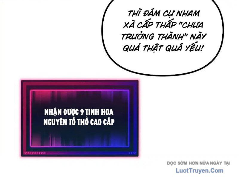 Toàn Cầu Ngự Thú: Ta Có Thể Thấy Lộ Tuyến Tiến Hoá Chapter 41 - Trang 2