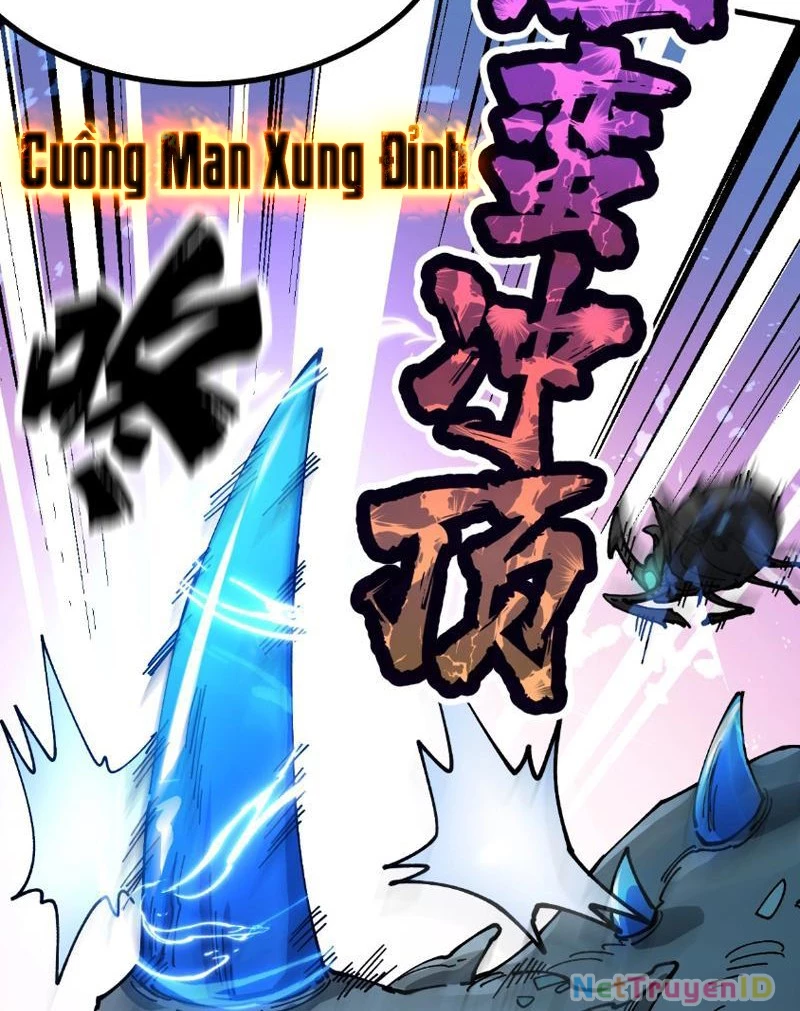 Toàn Cầu Ngự Thú: Ta Có Thể Thấy Lộ Tuyến Tiến Hoá Chapter 9 - Trang 2