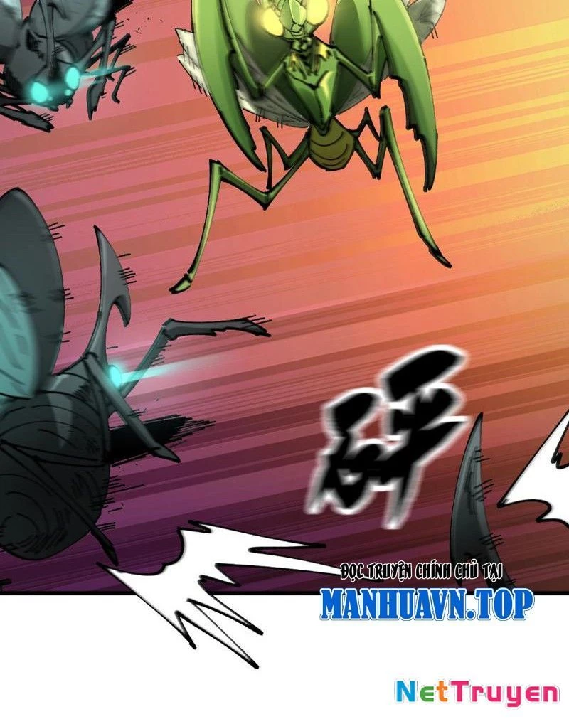 Toàn Cầu Ngự Thú: Ta Có Thể Thấy Lộ Tuyến Tiến Hoá Chapter 9 - Trang 2