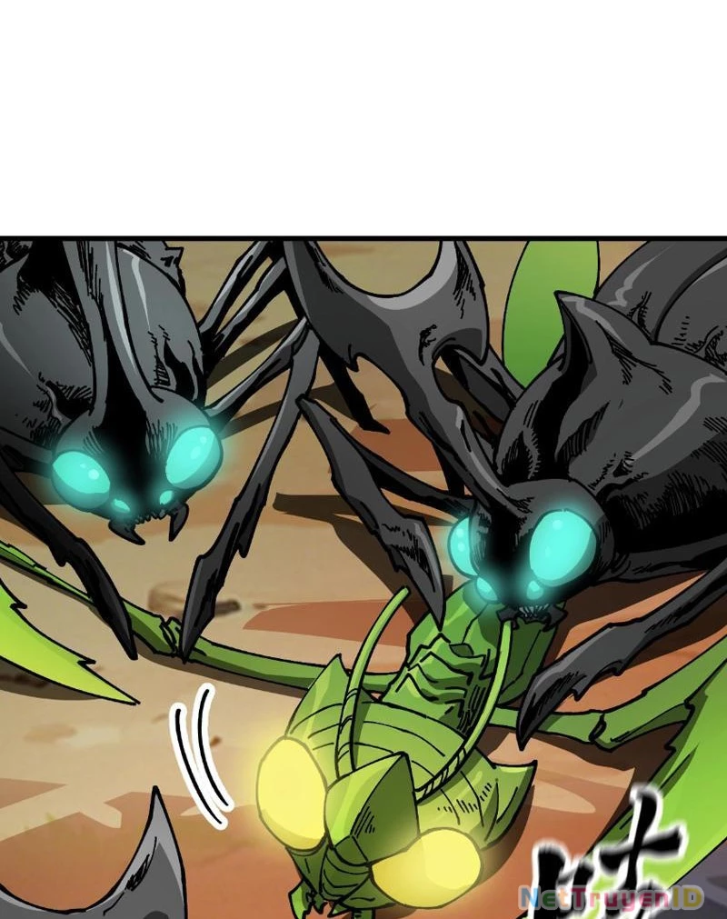 Toàn Cầu Ngự Thú: Ta Có Thể Thấy Lộ Tuyến Tiến Hoá Chapter 9 - Trang 2