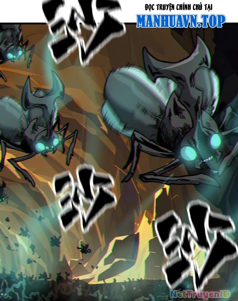 Toàn Cầu Ngự Thú: Ta Có Thể Thấy Lộ Tuyến Tiến Hoá Chapter 9 - Trang 2