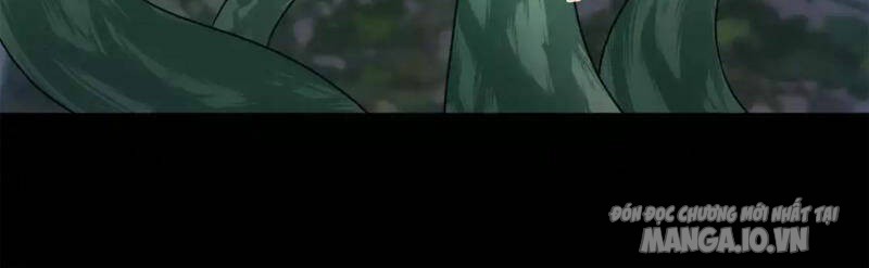 Toàn Cầu Quỷ Dị Thời Đại Chapter 215 - Trang 2