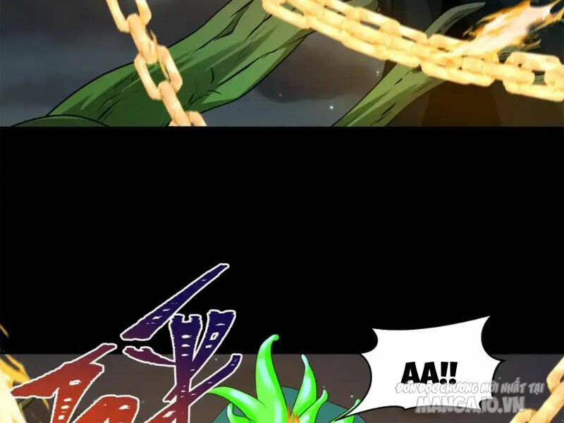 Toàn Cầu Quỷ Dị Thời Đại Chapter 217 - Trang 2