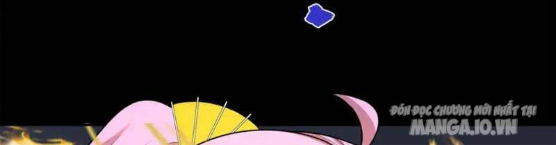 Toàn Cầu Quỷ Dị Thời Đại Chapter 217 - Trang 2