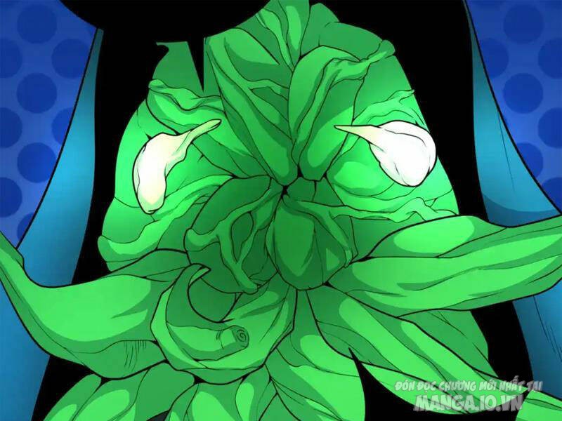 Toàn Cầu Quỷ Dị Thời Đại Chapter 219 - Trang 2